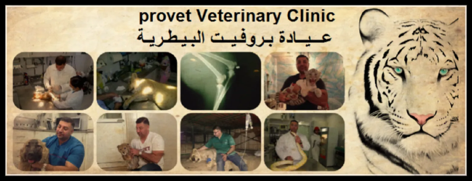 Provet Veterinary Clinic