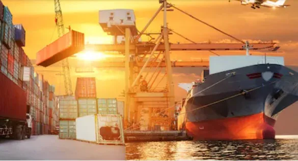 Dolphin Line Shipping LLC