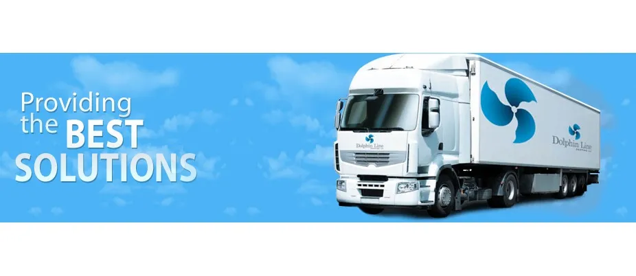 Dolphin Line Shipping LLC