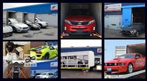 Dolphin Line Shipping LLC