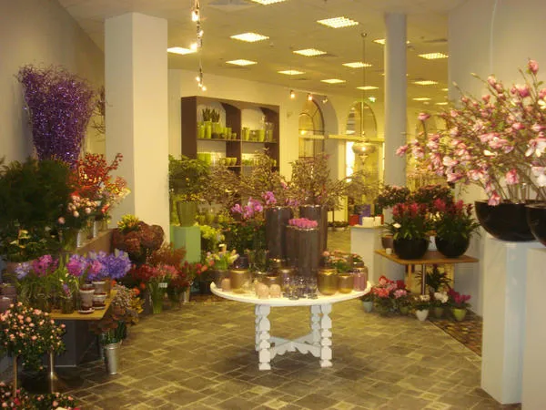 Wafi Natural Flowers