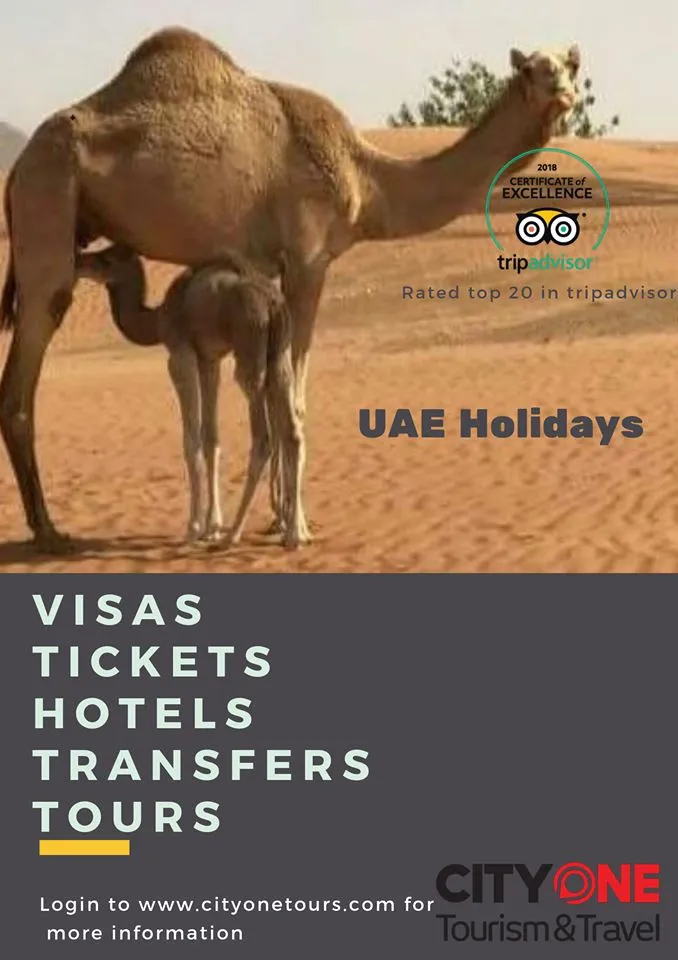 City One Tourism & Travel, LLC