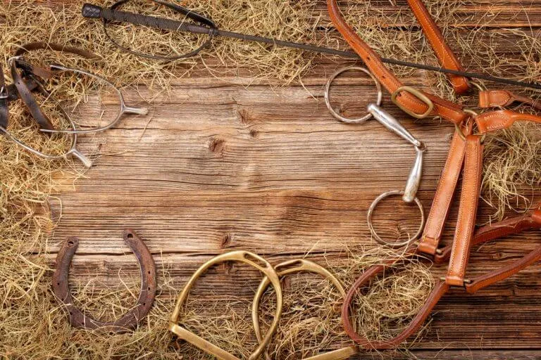 Al-Laseely Veterinary Medicine Trading