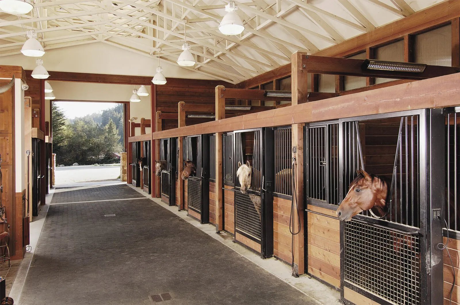 Al-Laseely Veterinary Medicine Trading