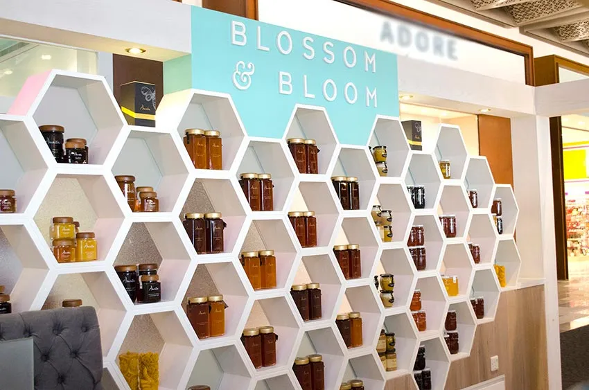 Blossom And Bloom