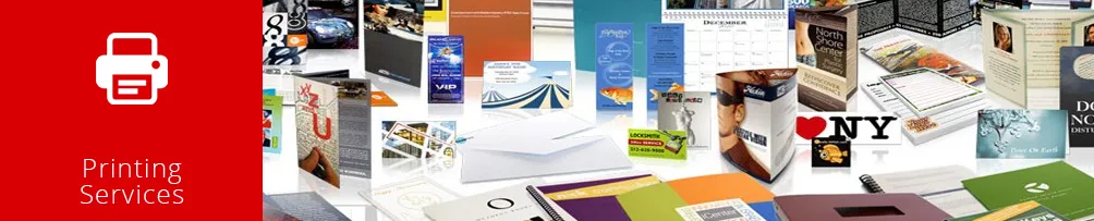Pro 4 Ever Business Services
