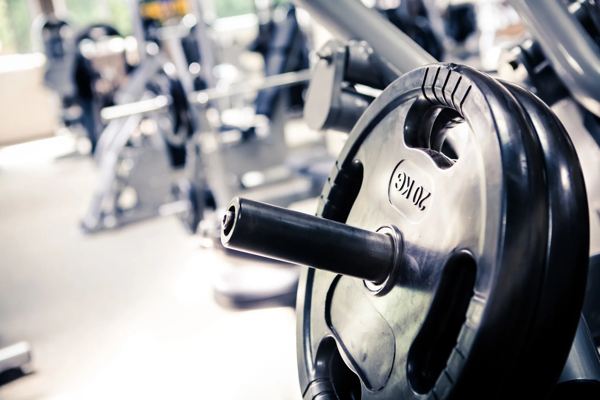 Excellent Gym L.L.C.