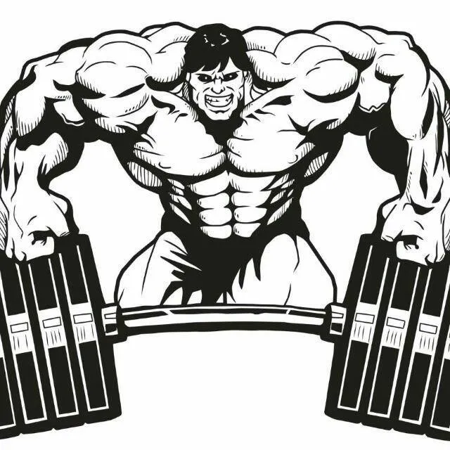 Excellent Gym L.L.C.