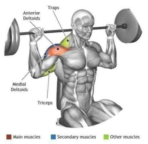 Excellent Gym L.L.C.