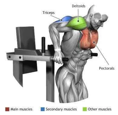 Excellent Gym L.L.C.