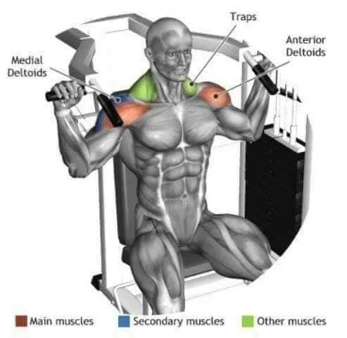 Excellent Gym L.L.C.